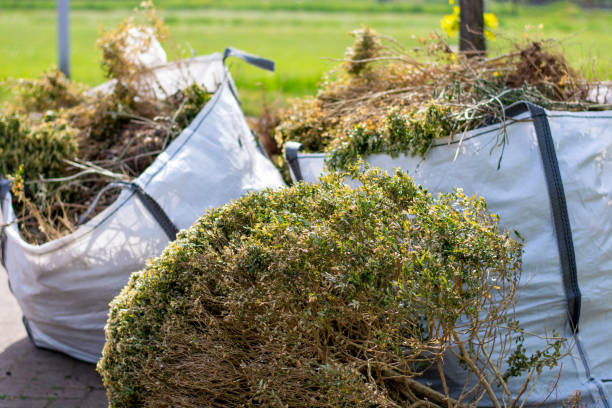 Best Moving and Downsizing Cleanouts  in Grandview, MO